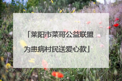 莱阳市菜哥公益联盟为患病村民送爱心款