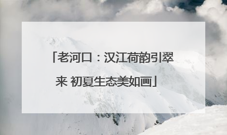 老河口：汉江荷韵引翠来 初夏生态美如画