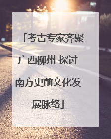 考古专家齐聚广西柳州 探讨南方史前文化发展脉络
