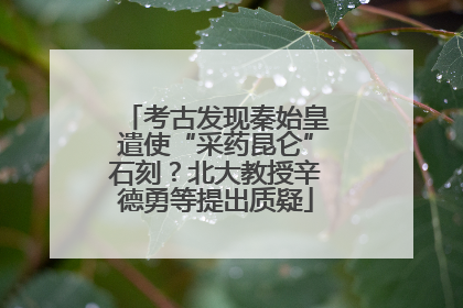 考古发现秦始皇遣使“采药昆仑”石刻?北大教授辛德勇等提出质疑