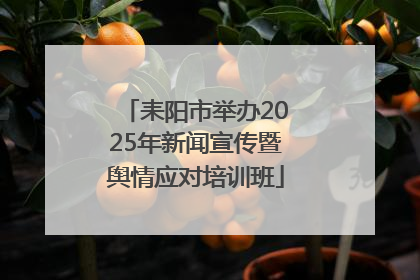 耒阳市举办2025年新闻宣传暨舆情应对培训班