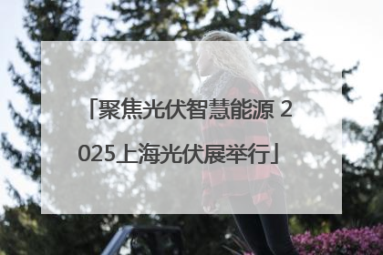 聚焦光伏智慧能源 2025上海光伏展举行