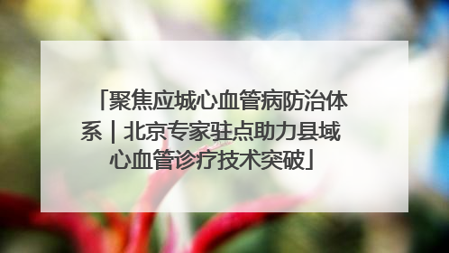 聚焦应城心血管病防治体系｜北京专家驻点助力县域心血管诊疗技术突破