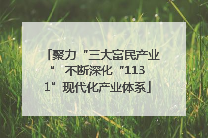聚力“三大富民产业” 不断深化“1131”现代化产业体系