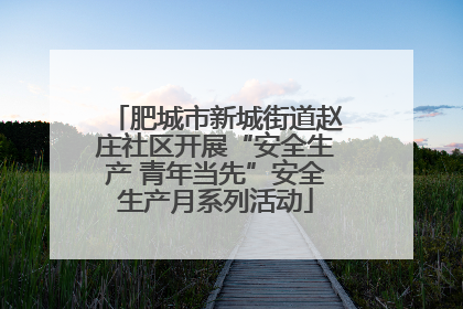 肥城市新城街道赵庄社区开展“安全生产 青年当先”安全生产月系列活动