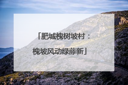 肥城槐树坡村：槐坡风动绿藤新