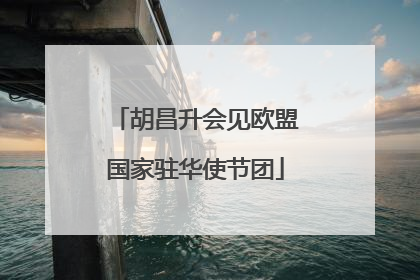 胡昌升会见欧盟国家驻华使节团