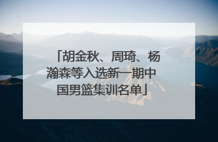 胡金秋、周琦、杨瀚森等入选新一期中国男篮集训名单