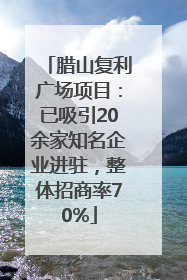 腊山复利广场项目:已吸引20余家知名企业进驻,整体招商率70%
