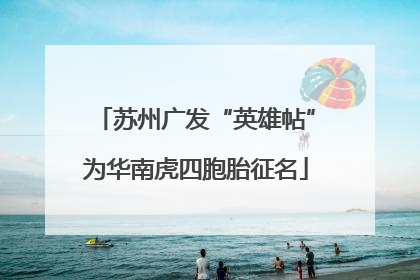 苏州广发“英雄帖”为华南虎四胞胎征名