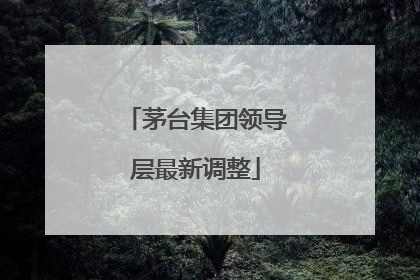 茅台集团领导层最新调整