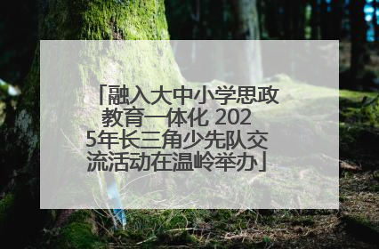 融入大中小学思政教育一体化 2025年长三角少先队交流活动在温岭举办