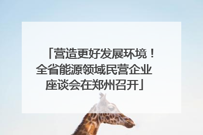 营造更好发展环境！全省能源领域民营企业座谈会在郑州召开