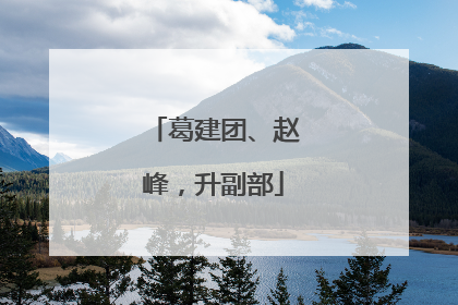 葛建团、赵峰，升副部