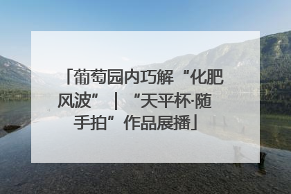 葡萄园内巧解“化肥风波”｜“天平杯·随手拍”作品展播