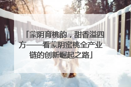 蒙阴育桃韵，甜香溢四方——看蒙阴蜜桃全产业链的创新崛起之路