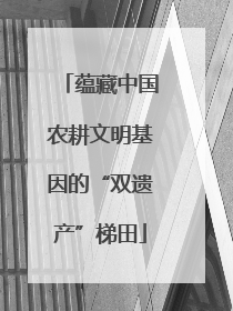 蕴藏中国农耕文明基因的“双遗产”梯田