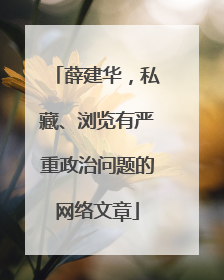 薛建华，私藏、浏览有严重政治问题的网络文章