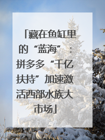 藏在鱼缸里的“蓝海”：拼多多“千亿扶持”加速激活西部水族大市场