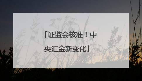 证监会核准！中央汇金新变化