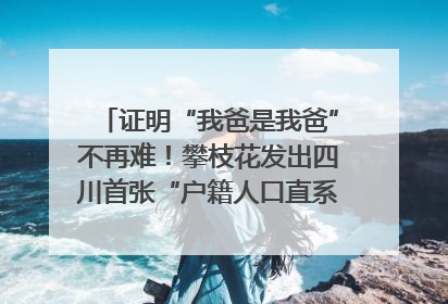 证明“我爸是我爸”不再难！攀枝花发出四川首张“户籍人口直系亲属关系谱”