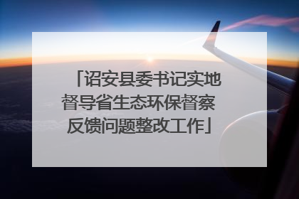 诏安县委书记实地督导省生态环保督察反馈问题整改工作