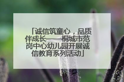 诚信筑童心，品质伴成长——桐城市范岗中心幼儿园开展诚信教育系列活动