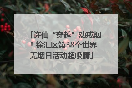 许仙“穿越”劝戒烟！徐汇区第38个世界无烟日活动超吸睛