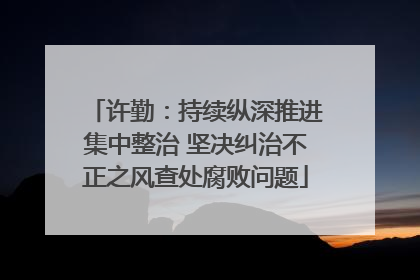 许勤：持续纵深推进集中整治 坚决纠治不正之风查处腐败问题