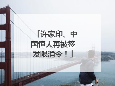 许家印、中国恒大再被签发限消令！