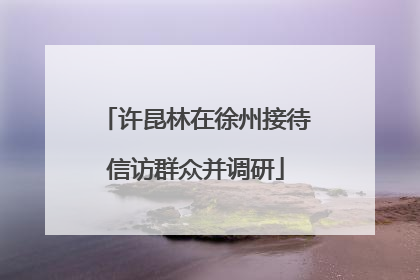 许昆林在徐州接待信访群众并调研