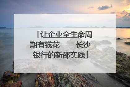 让企业全生命周期有钱花——长沙银行的新邵实践