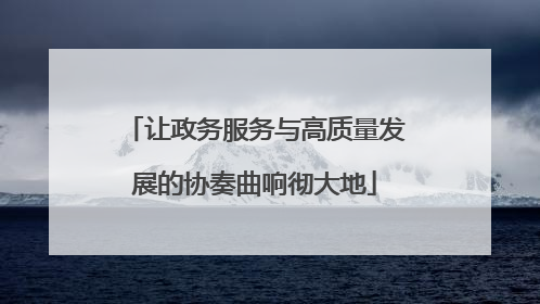 让政务服务与高质量发展的协奏曲响彻大地