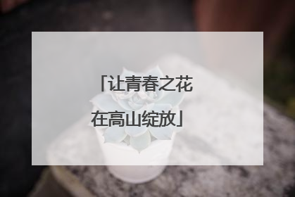 让青春之花在高山绽放