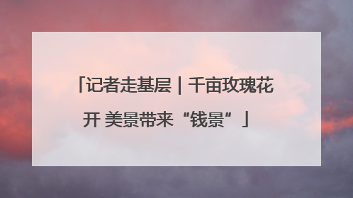 记者走基层｜千亩玫瑰花开 美景带来“钱景”