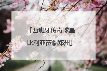 西班牙传奇球星 比利亚莅临郑州