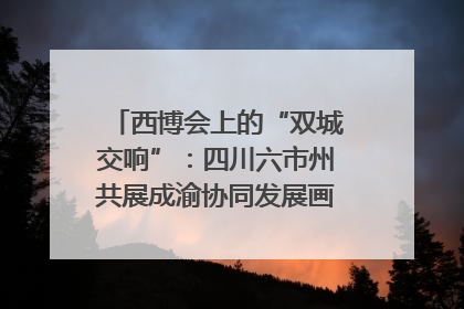 西博会上的“双城交响”：四川六市州共展成渝协同发展画卷｜西博视界