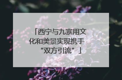 西宁与九寨用文化和美景实现携手“双方引流”