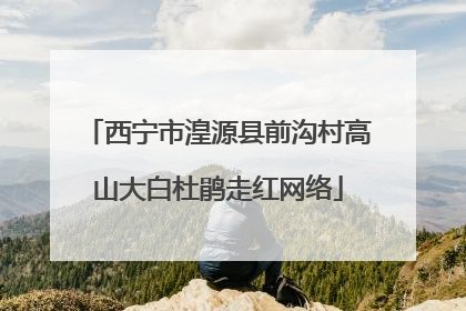 西宁市湟源县前沟村高山大白杜鹃走红网络