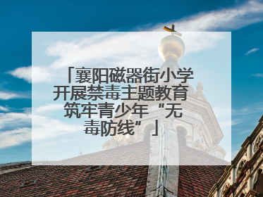 襄阳磁器街小学开展禁毒主题教育 筑牢青少年“无毒防线”