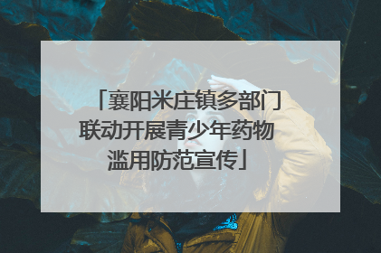 襄阳米庄镇多部门联动开展青少年药物滥用防范宣传