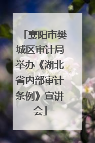 襄阳市樊城区审计局举办《湖北省内部审计条例》宣讲会
