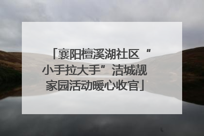 襄阳檀溪湖社区“小手拉大手”洁城靓家园活动暖心收官
