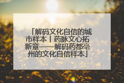 解码文化自信的城市样本丨药脉文心拓新章——解码药都亳州的文化自信样本