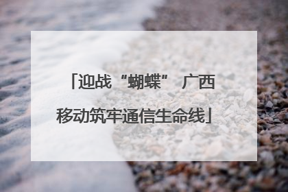 迎战“蝴蝶” 广西移动筑牢通信生命线
