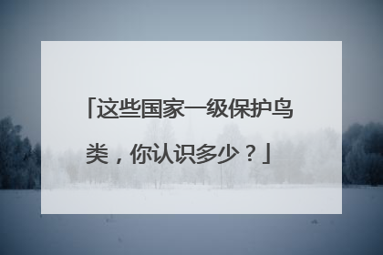 这些国家一级保护鸟类，你认识多少？