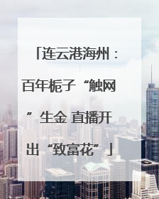 连云港海州：百年栀子“触网”生金 直播开出“致富花”