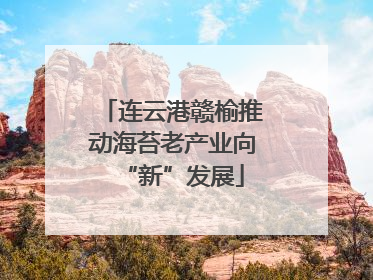 连云港赣榆推动海苔老产业向“新”发展