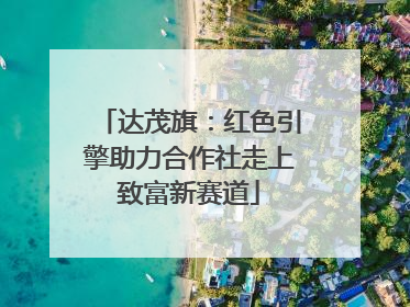 达茂旗：红色引擎助力合作社走上致富新赛道