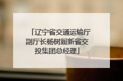 辽宁省交通运输厅副厅长杨树履新省交投集团总经理